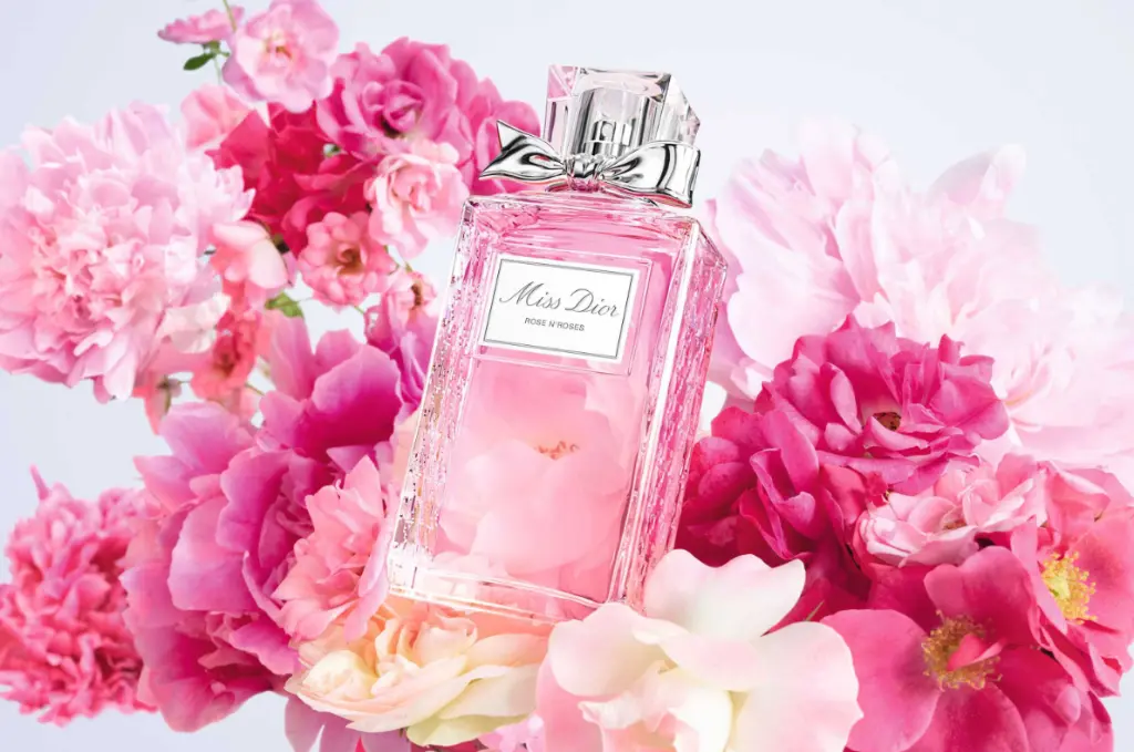 Captura de pantalla 2025-09-08 215323.webp